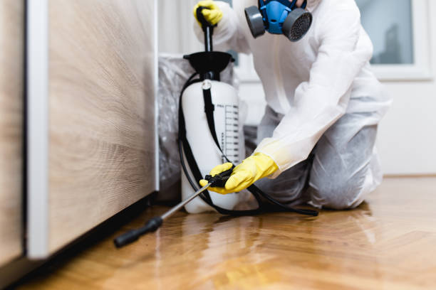 Best Pest Control Near Me  in Leland, MS