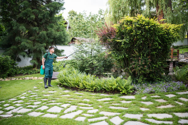 Best Affordable Pest Control Services  in Leland, MS