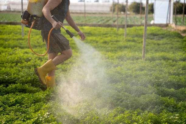 Best Ant Control Services  in Leland, MS