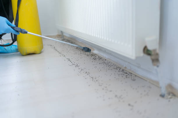 Best Best Pest Control Companies  in Leland, MS